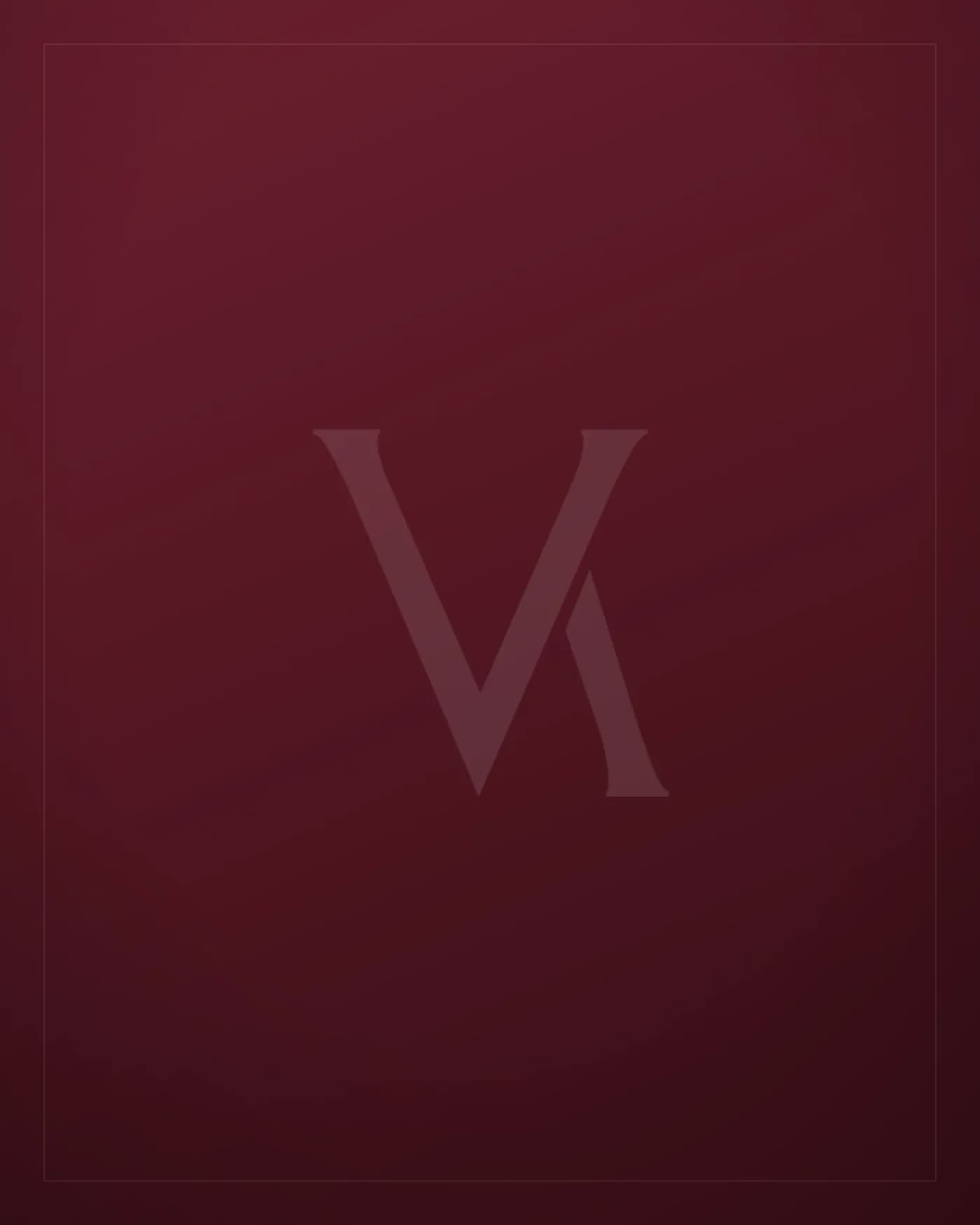The Burgundy Edit — VAYN
